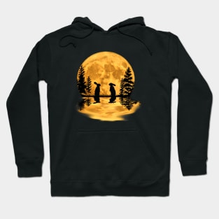 Lovely bunny rabbit rabbits moon night sky Hoodie